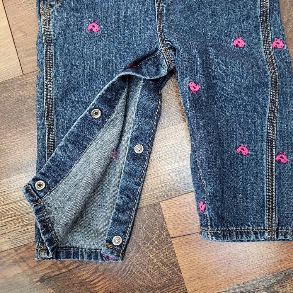 Oshkosh B'gosh Blue Jean Overalls With Pink Embroidered Birds, Size 9 Months